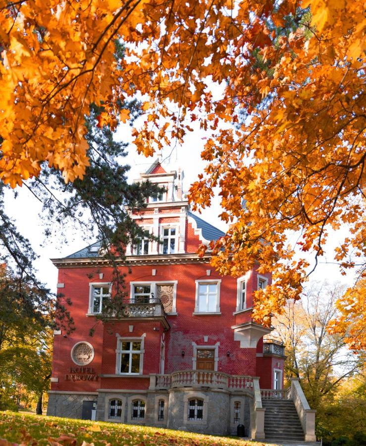 Hotel Debowy Biowellness & Spa Gory Sowie Bielawa Kültér fotó