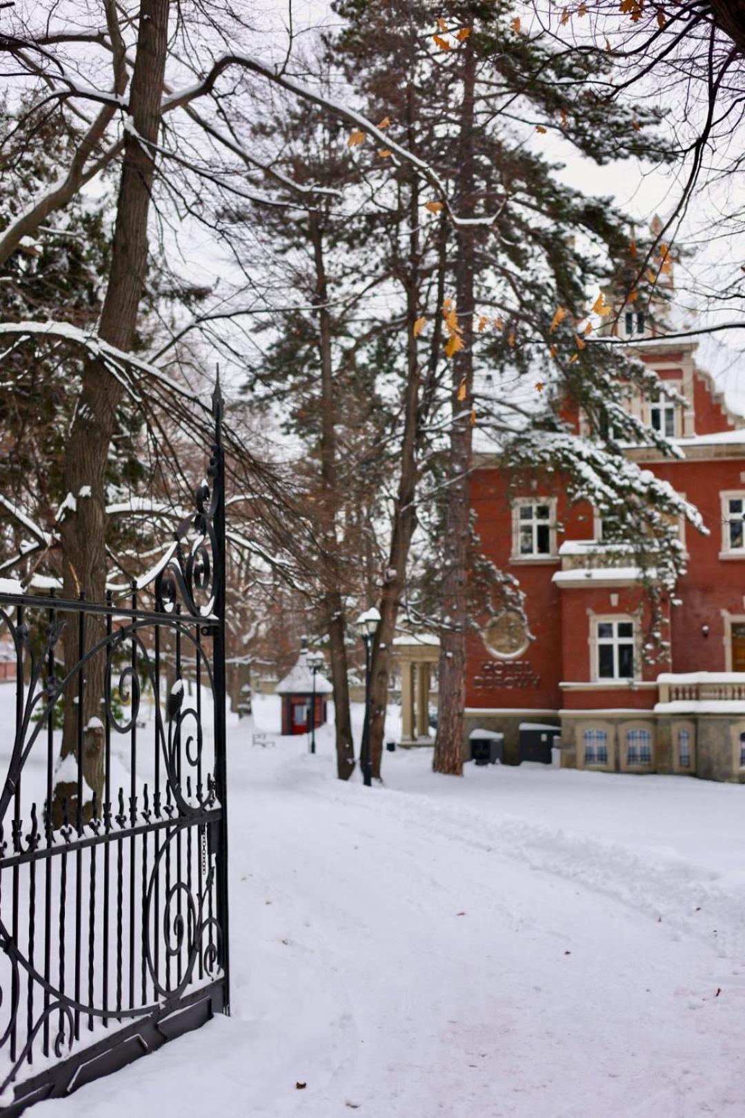 Hotel Debowy Biowellness & Spa Gory Sowie Bielawa Kültér fotó